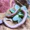 Show in main carousel: ReptiFauna Assorted Echeveria Desert Plant, 2-in Pot, 3 count slide 3 of 10