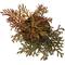 Show in main carousel: ReptiFauna Assorted Moss Tropical Plant, 2-in Pot, 3 count slide 8 of 10