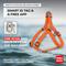 Show in main carousel: WAUDOG Waterproof Dog Harness with QR Tag, Orange, Medium slide 5 of 7