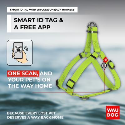 Show full view: WAUDOG Waterproof Dog Harness with QR Tag, Green, Large slide 5 of 7