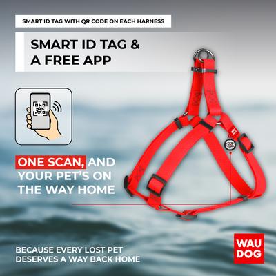 Show full view: WAUDOG Waterproof Dog Harness with QR Tag, Red, Large slide 5 of 7