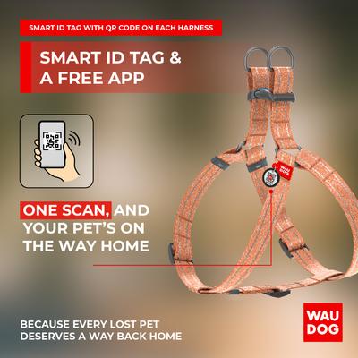 Show full view: WAUDOG Re-Cotton Recycled Material QR Passport Dog Harness, Orange, Medium slide 5 of 6