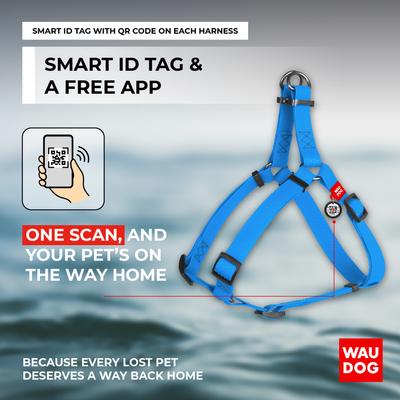 Show full view: WAUDOG Waterproof Dog Harness with QR Tag, Blue, Large slide 5 of 7