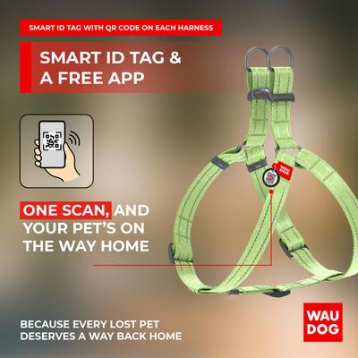 Show full view: WAUDOG Re-Cotton Recycled Material QR Passport Dog Harness, Lime Green, Medium slide 5 of 6