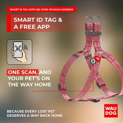Show full view: WAUDOG Re-Cotton Recycled Material QR Passport Dog Harness, Red, Medium slide 6 of 7
