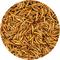 Show in main carousel: Exotic Nutrition Dried Mealworms Chicken Treats, 22-lb case slide 4 of 9
