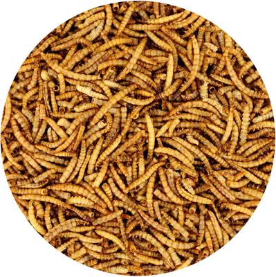 Show full view: Exotic Nutrition Dried Mealworms Chicken Treats, 22-lb case slide 4 of 9