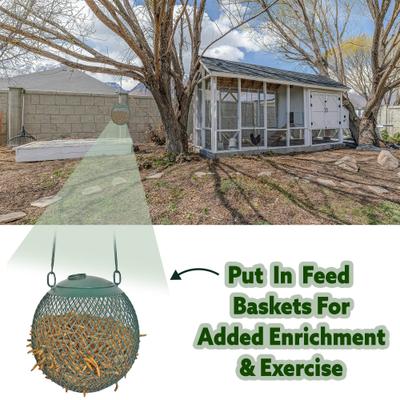 Show full view: Exotic Nutrition Dried Mealworms Chicken Treats, 22-lb case slide 8 of 9