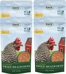 Exotic Nutrition Dried Mealworms Chicken Treats, 44-lb case