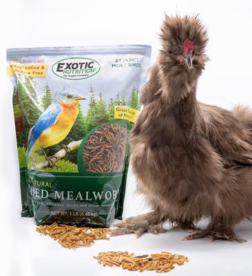 Show full view: Exotic Nutrition Dried Mealworms Chicken Treats, 22-lb case slide 5 of 9