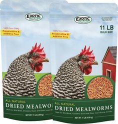 Exotic Nutrition Dried Mealworms Chicken Treats, 22-lb case