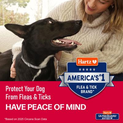 Show full view: Hartz Ultra Guard ProMax Flea & Tick Collar for Dogs, 2 collars (12-mos. supply), Gray slide 8 of 9