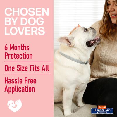 Show full view: Hartz Ultra Guard ProMax Flea & Tick Collar for Dogs, 2 collars (12-mos. supply), Gray slide 7 of 9