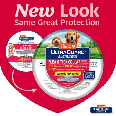 Show full view: Hartz Ultra Guard ProMax Flea & Tick Collar for Dogs, 2 collars (12-mos. supply), Gray slide 2 of 9