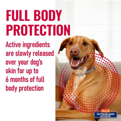 Show full view: Hartz Ultra Guard ProMax Flea & Tick Collar for Dogs, 2 collars (12-mos. supply), Gray slide 5 of 9