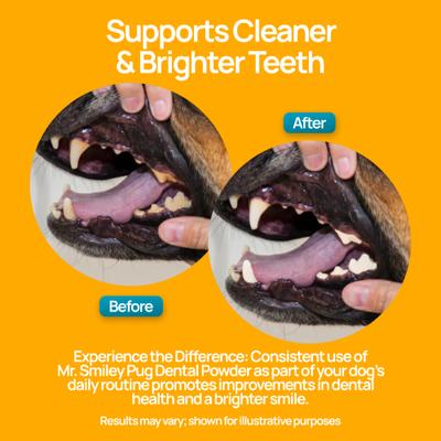 Show full view: Mr. Smiley Pug Dental Powder for Dogs, 60-g jar slide 5 of 9