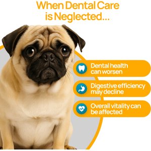 Mr. Smiley Pug Dental Powder for Dogs, 60-g jar