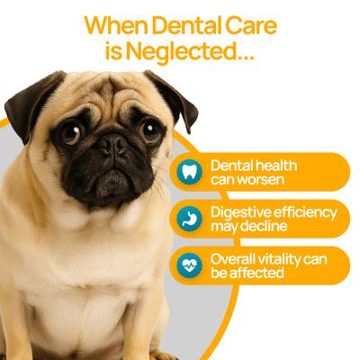 Show full view: Mr. Smiley Pug Dental Powder for Dogs, 60-g jar slide 6 of 9