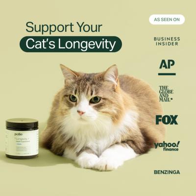 Show full view: Petlio Longevity+ Chicken Flavored Powder Health Supplement for Cats, 90 scoops slide 10 of 11