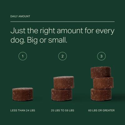 Show full view: Petlio Longevity+ Chicken Flavored Soft Chew Health Supplement for Dogs, 30 count slide 7 of 10