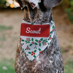 Buckle-Down Christmas Holiday Holly Mistletoe Personalized Dog Bandana slide 2 of 6