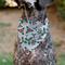 Show in main carousel: Buckle-Down Christmas Holiday Holly Mistletoe Personalized Dog Bandana slide 6 of 7