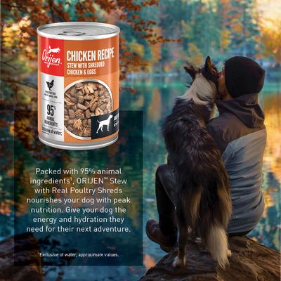 Show full view: ORIJEN Real Meat Shreds Chicken Stew Wet Dog Food, 12.8-oz can, case of 12 slide 8 of 12