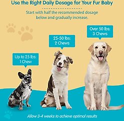 Wanderfound Pets SAMe 100 Liver Support for Dogs, 60 count slide 2 of 7