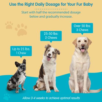 Show full view: Wanderfound Pets Omega 3-6-9 Skin & Coat Health Smoked Salmon Flavor Dog Supplement Soft Chews, 60 count slide 6 of 8