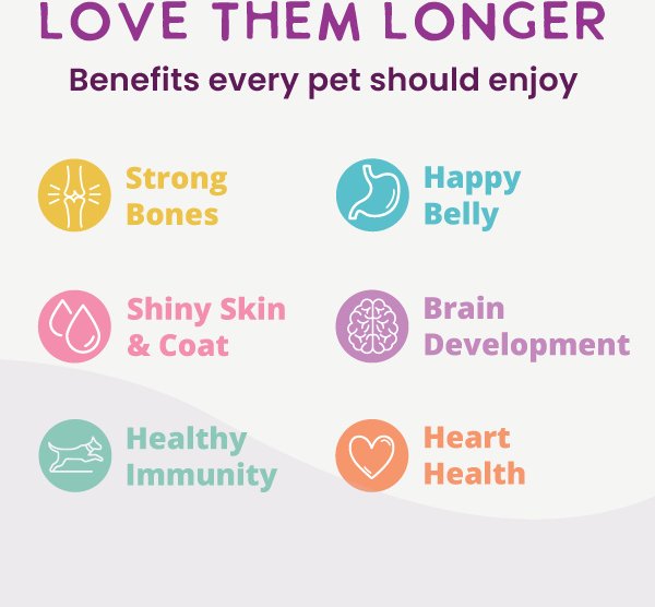 Health Extension Gently Cooked Beef & Potato Recipe Wet Dog Food