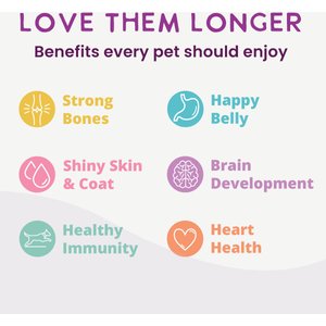 Health Extension Gently Cooked Chicken & Pumpkin Recipe Wet Dog Food, 9-oz pouch, 10 count