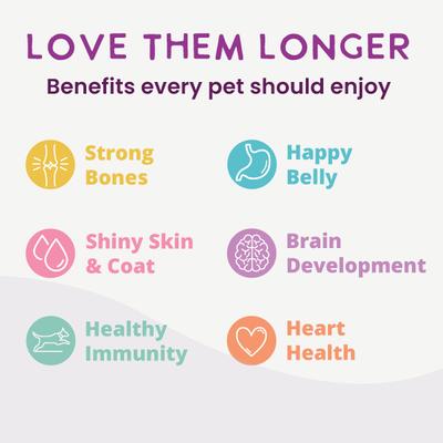 Show full view: Health Extension Gently Cooked Beef & Potato Recipe Wet Dog Food, 9-oz pouch, 10 count slide 8 of 11