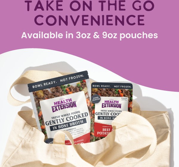 Health Extension Gently Cooked Beef & Potato Recipe Wet Dog Food