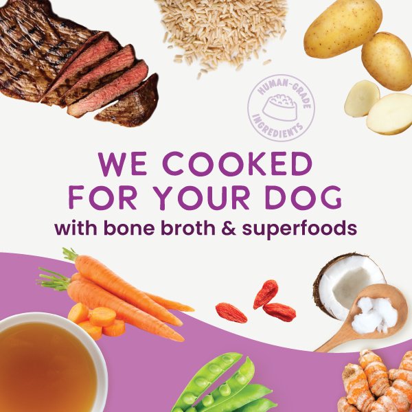 Health Extension Gently Cooked Beef & Potato Recipe Wet Dog Food