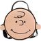 Show in main carousel: Buckle-Down Peanuts Charlie Brown Smiling Face Dog Walking Bag slide 1 of 6