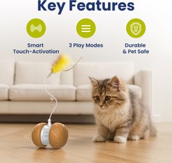 PawsPik Feather Tail Rechargeable Spinner Chasers Cat Toy, Orange slide 2 of 9