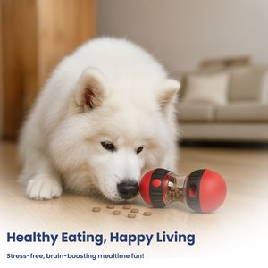PawsPik Dual Sphere Treat-Dispensing Rolling Dog Toy, Red