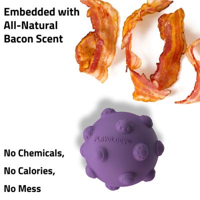 Show full view: Playology Bacon Scented Young & Active Tough Teething Ball Dog Toy, Purple, Medium slide 4 of 6