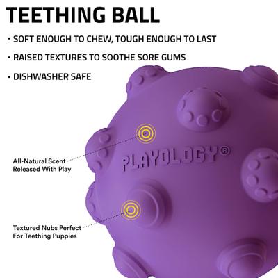 Show full view: Playology Bacon Scented Young & Active Tough Teething Ball Dog Toy, Purple, Medium slide 2 of 6