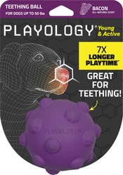 Playology Bacon Scented Young & Active Tough Teething Ball Dog Toy, Purple, Medium