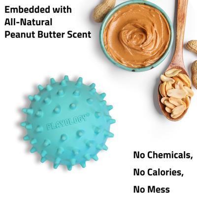 Show full view: Playology Peanut Butter Scented Spiky Tough Squeaky Ball Dog Toy, Blue, Medium slide 4 of 6