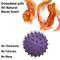 Show in main carousel: Playology Bacon Scented Spiky Tough Squeaky Ball Dog Toy, Purple, Medium slide 4 of 6