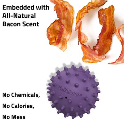 Show full view: Playology Bacon Scented Spiky Tough Squeaky Ball Dog Toy, Purple, Medium slide 4 of 6