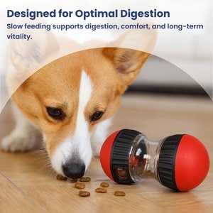 PawsPik Dual Sphere Treat-Dispensing Rolling Dog Toy, Red