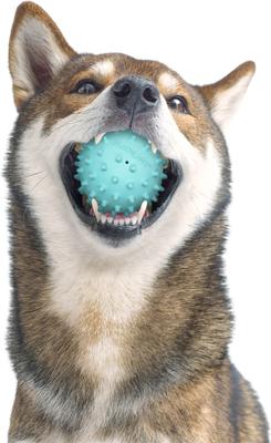 Show full view: Playology Peanut Butter Scented Spiky Tough Squeaky Ball Dog Toy, Blue, Medium slide 3 of 6
