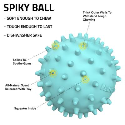 Show full view: Playology Peanut Butter Scented Spiky Tough Squeaky Ball Dog Toy, Blue, Medium slide 2 of 6