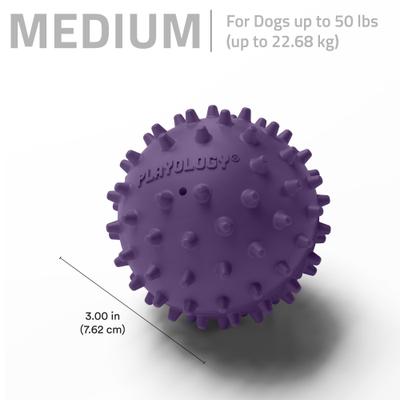 Show full view: Playology Bacon Scented Spiky Tough Squeaky Ball Dog Toy, Purple, Medium slide 5 of 6