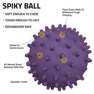 Show full view: Playology Bacon Scented Spiky Tough Squeaky Ball Dog Toy, Purple, Medium slide 2 of 6