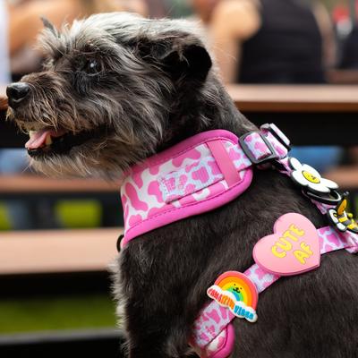 Show full view: Jiby Dog Crew Cute AF Jiby Dog Collar Accessory, Pink slide 3 of 7