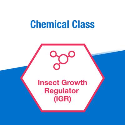 Show full view: Elanco Neporex 2 SG Fly Larvacide, 11-lb slide 6 of 8